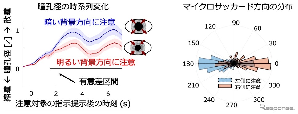 瞳孔径の時系列変化とマイクロサッカード方向の分布《画像提供 NTT》