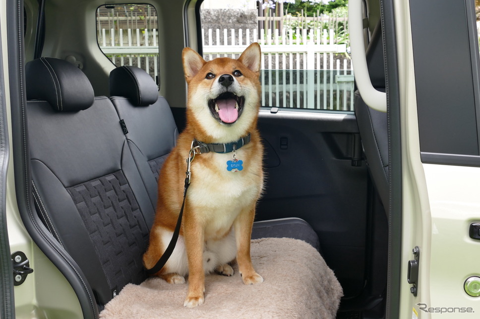 三菱 デリカミニ T Premium 4WD《写真撮影 島崎七生人》