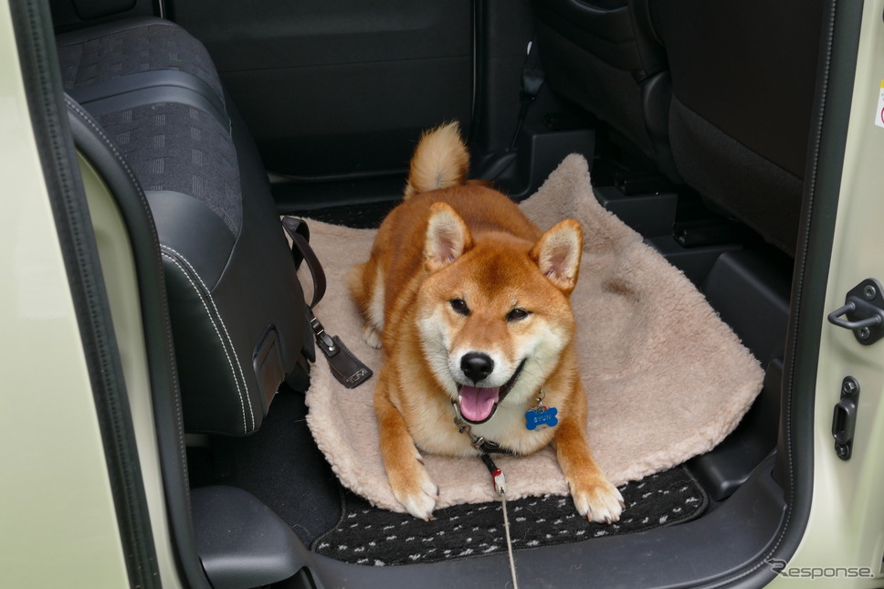 三菱 デリカミニ T Premium 4WD《写真撮影 島崎七生人》