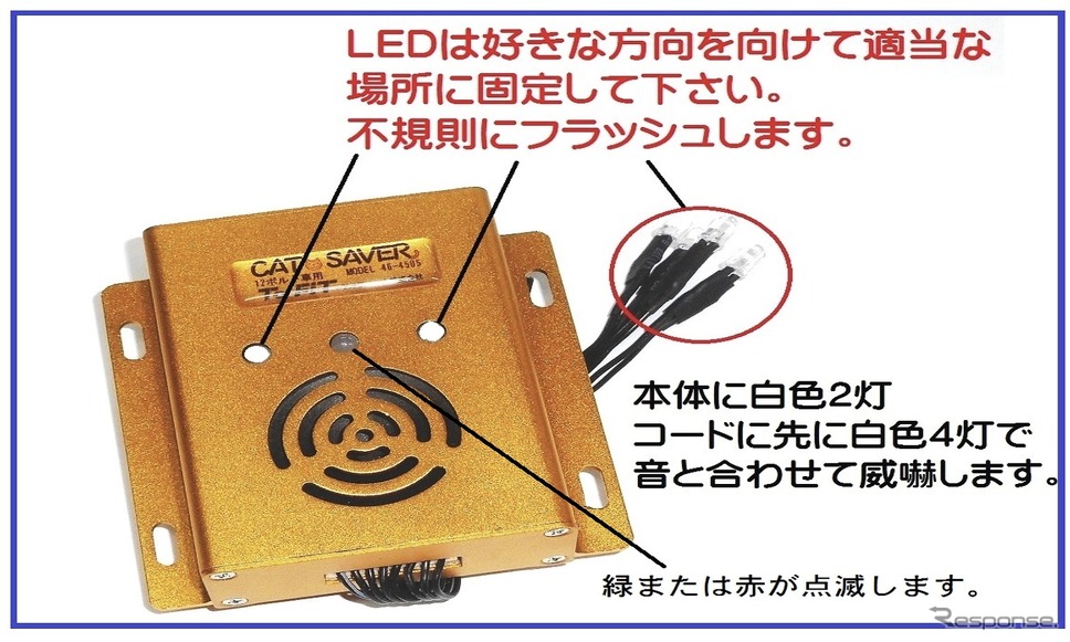 LEDが不規則にフラッシュ《写真提供 ピーコックブルー》