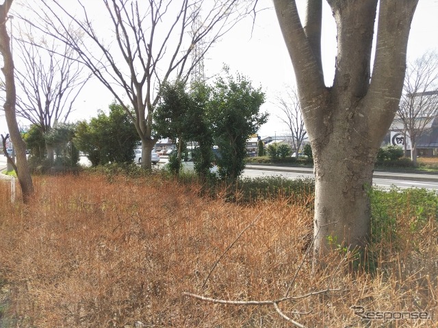 （イメージ）《写真提供 写真AC》