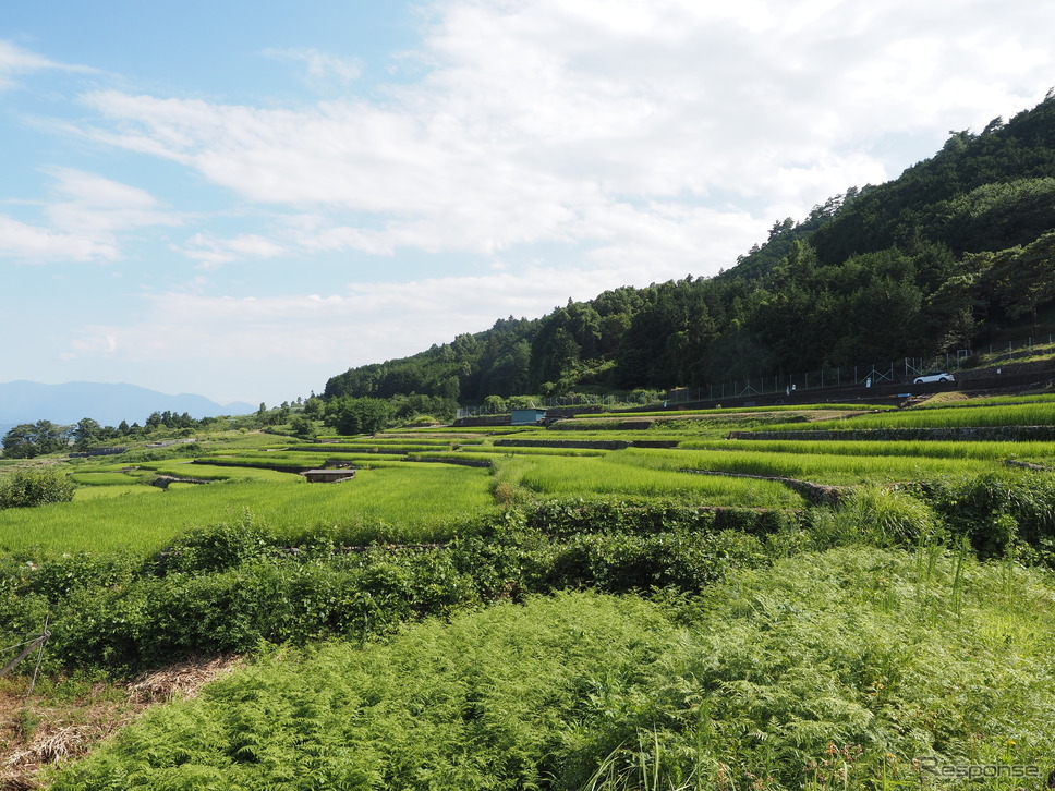 棚田の風景《写真撮影 家本浩太》