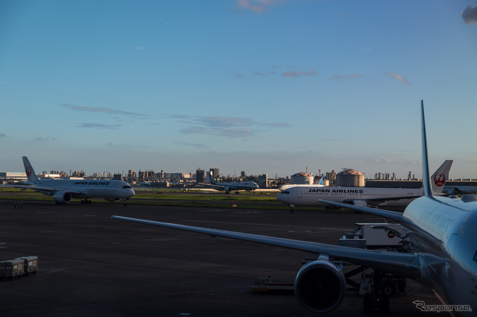 羽田空港(8月11日)《Photo by Marc Fernandes/NurPhoto/ゲッティイメージズ》