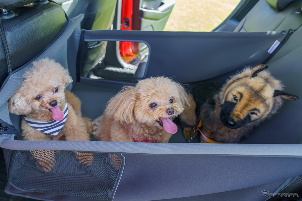 「ペットシートサークル」は小型犬なら3頭でも十分なスペースがありそうだ。《写真撮影 石川徹》