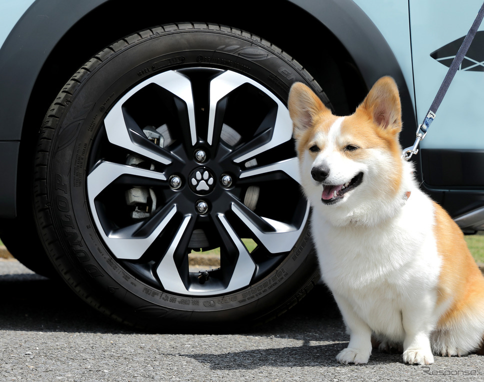 クルマと愛犬（イメージ）《写真提供 ホンダアクセス》