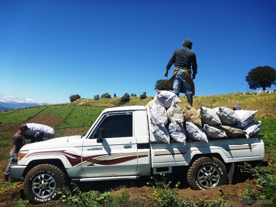 世界各地で活躍するランドクルーザー:コスタリカの農場《写真提供 トヨタ自動車》