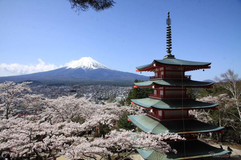 新倉山浅間公園《写真提供 富士急行》