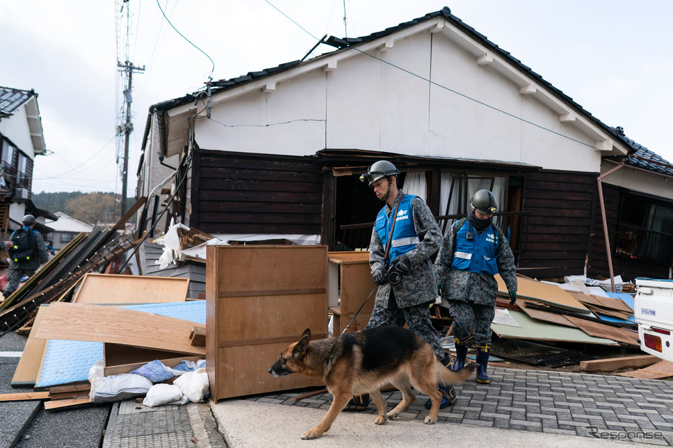 能登半島地震：人員捜索犬（1月5日、輪島市）《Photo by Tomohiro Ohsumi/Getty Images News/ゲッティイメージズ》