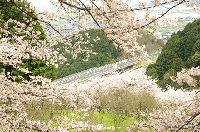 (イメージ)《写真提供 WILLER》
