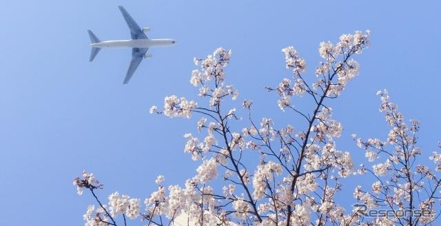 成田空港(イメージ)《写真提供 WILLER》