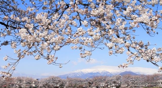東北道(イメージ)《写真提供 WILLER》