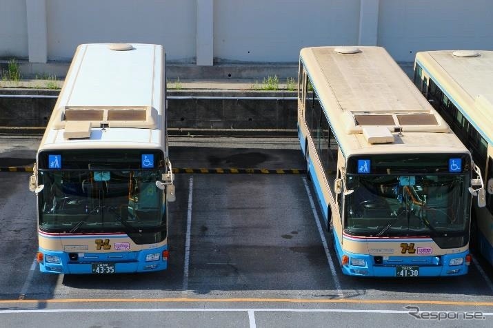屋根にSPACECOOLを貼付した車両（向かって左）と通常車両《写真提供 阪急バス》