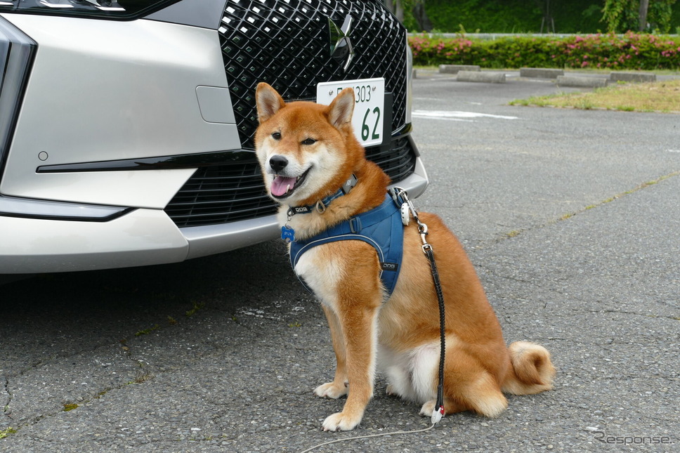DS 4 ESPRIT DE VOYAGE E-TENSE《写真撮影 島崎七生人》