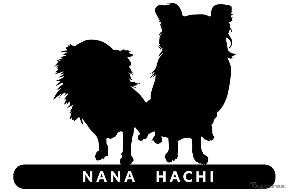 シルエットサンプル《画像提供 VANTECH》