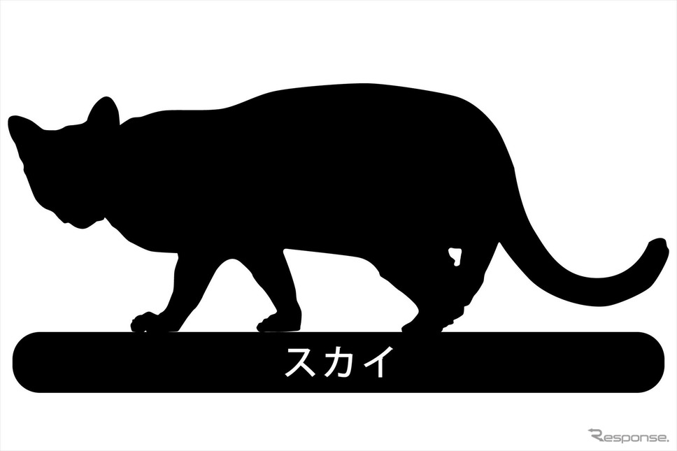 シルエットサンプル《画像提供 VANTECH》