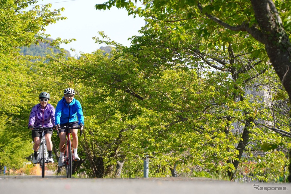 ふじえだサイクリング 70km FREE RIDE《写真提供:藤枝市役所》