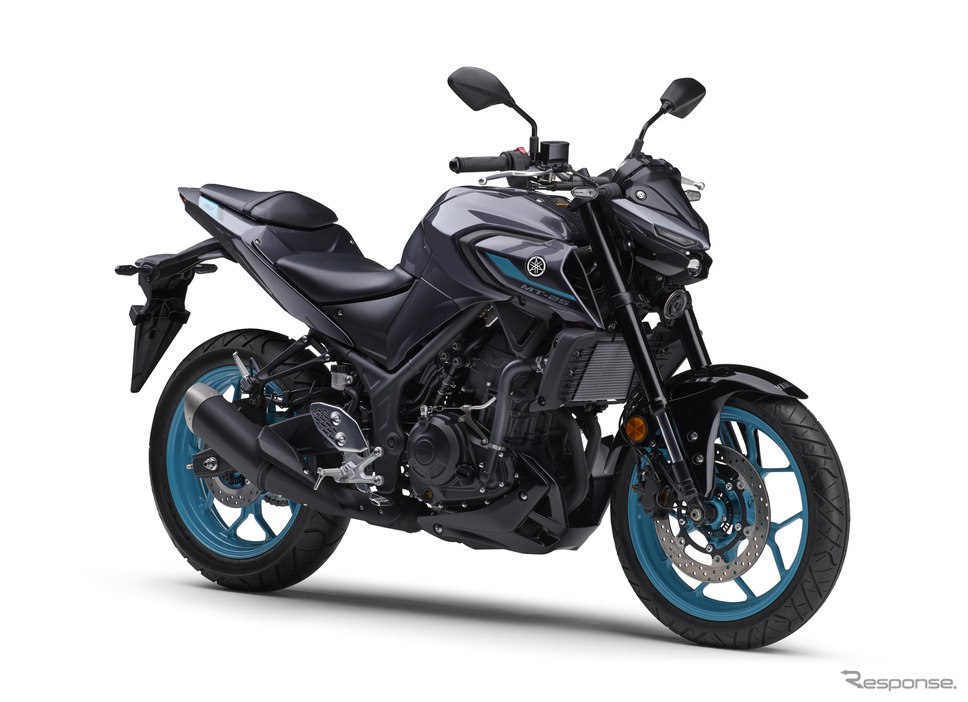ヤマハ MT-25 ABS 2024年モデル(ダークブルーイッシュグレーメタリック8)《写真提供 ヤマハ発動機販売》