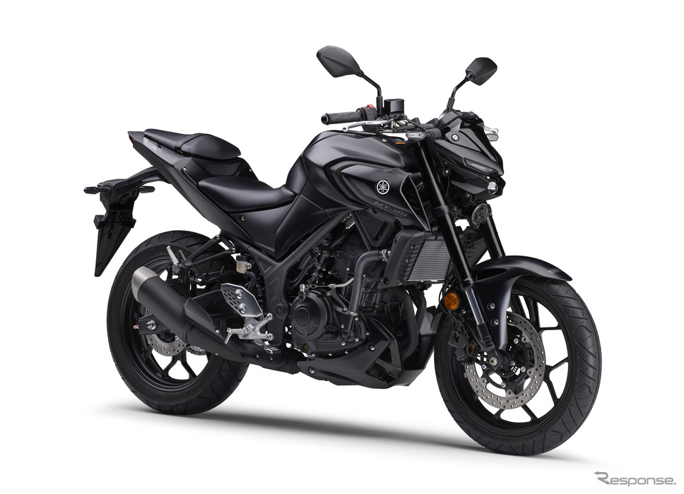 ヤマハ MT-25 ABS 2024年モデル(マットダークグレーメタリック8)《写真提供 ヤマハ発動機販売》