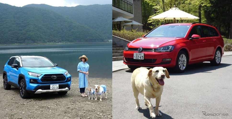 ドッグフレンドリーカーとしてより相応しいのはSUVかステーションワゴンか?《写真撮影 青山尚樹》
