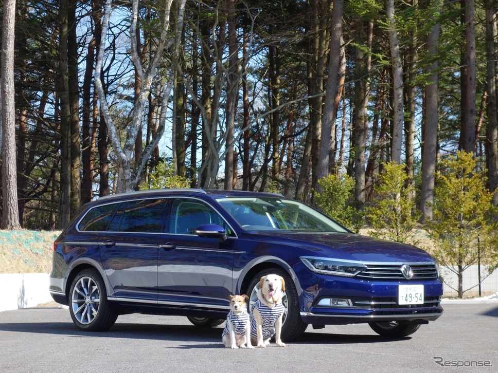 VW パサートヴァリアント《写真撮影 青山尚樹》