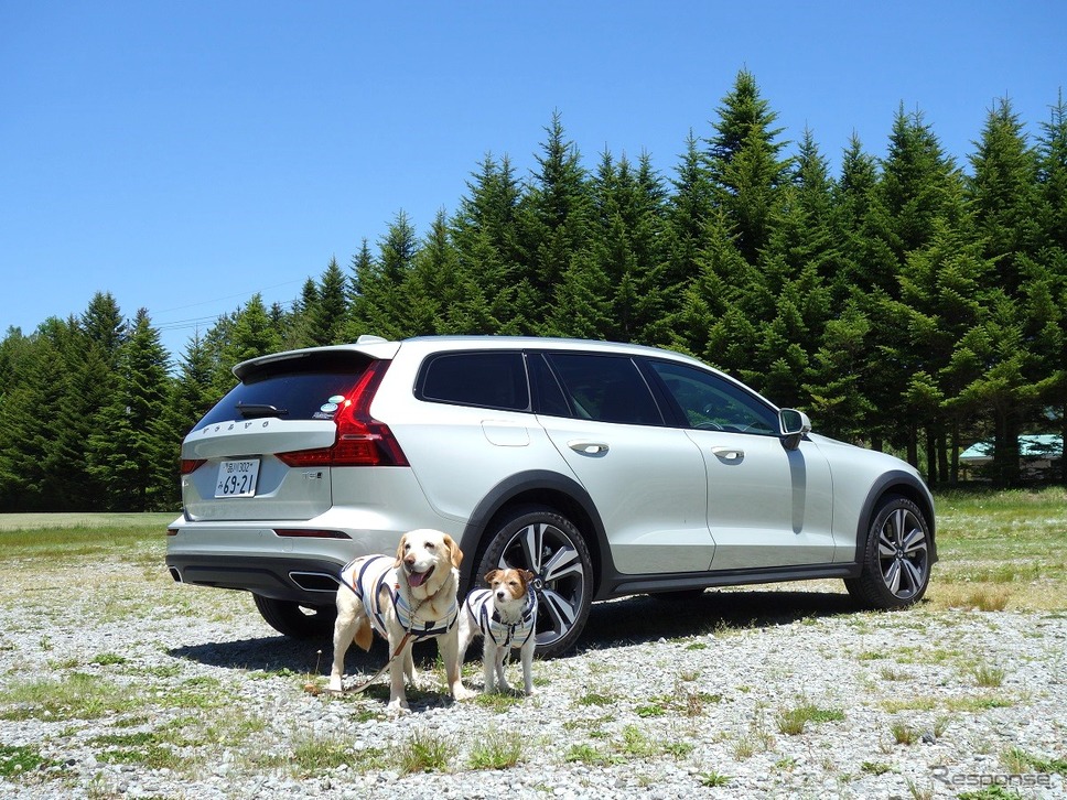 ボルボ V60クロスカントリー（旧タイプ）《写真撮影 青山尚樹》