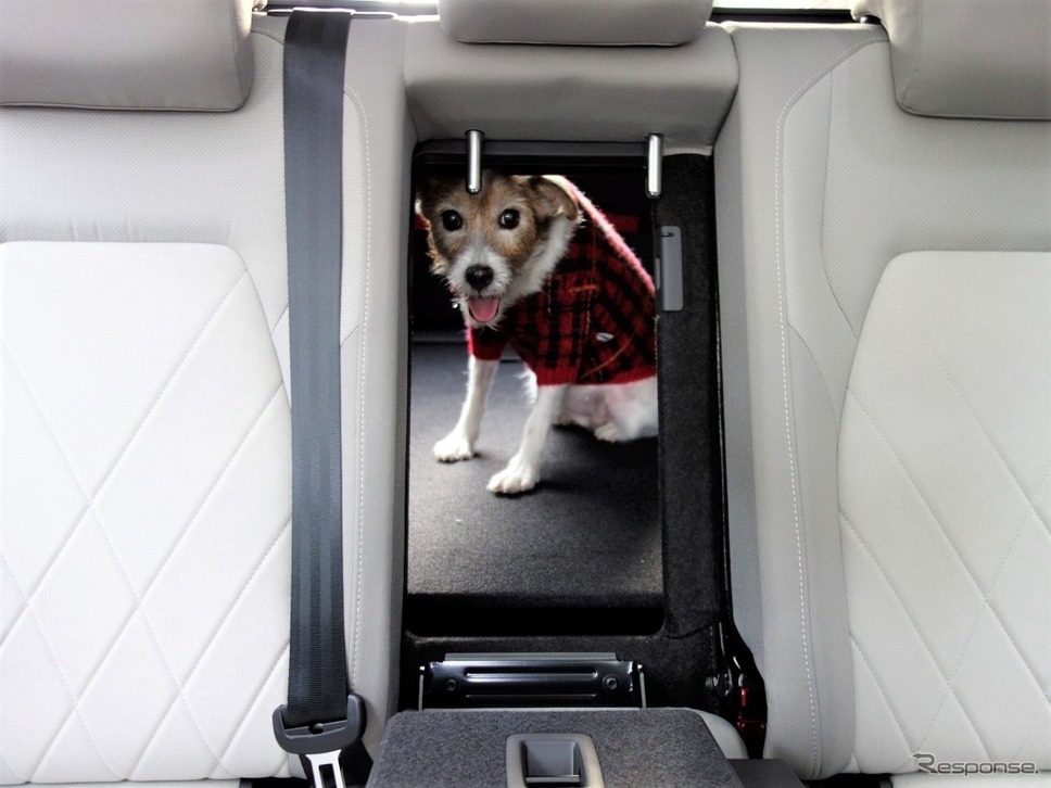 VW ゴルフ8ヴァリアント《写真撮影 青山尚樹》