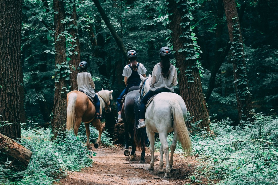 THE NATURE八ヶ岳《写真提供 Nomad Trailers》