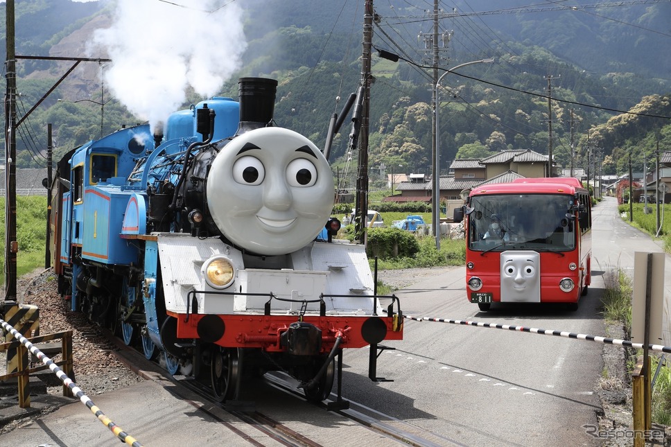 きかんしゃトーマス号（向かって左）とバスのバーティー　(c) 2024 Gullane (Thomas)《写真提供 大井川鐵道》