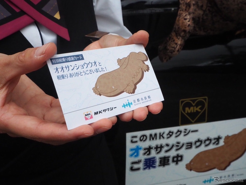 オオサンショウウオタクシー乗車記念カード《画像提供 エムケイ》