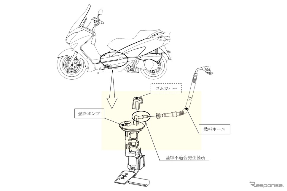 改善箇所《写真提供 国交省》