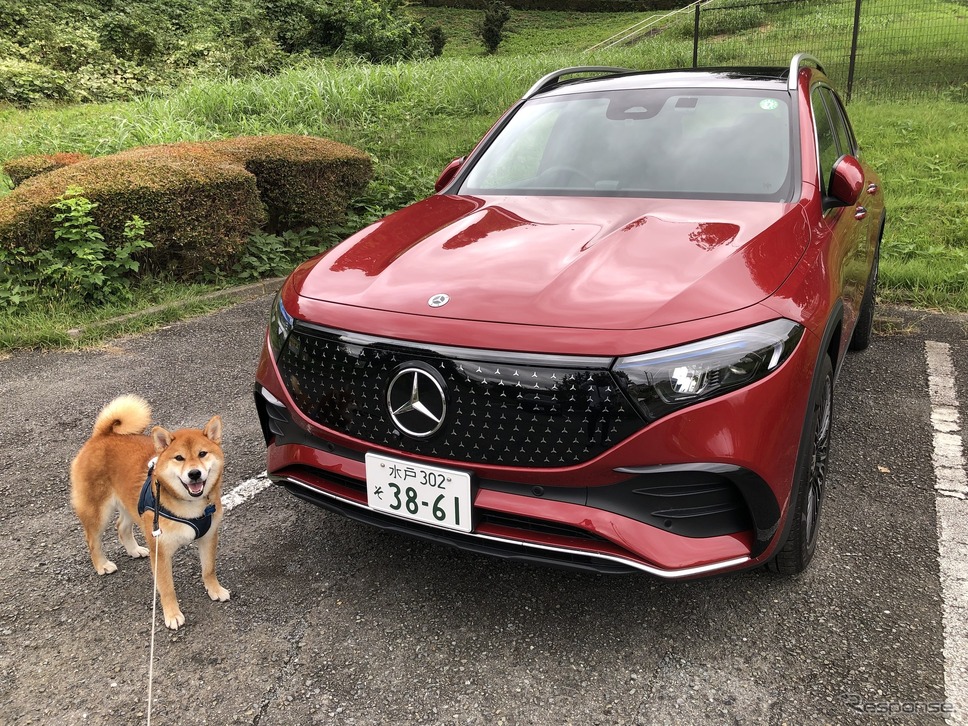 メルセデスベンツ EQB 350 4MATIC《写真撮影 島崎七生人》