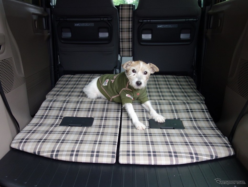 愛犬をそのまま乗せられる(N-BOX JOY)《写真撮影 青山尚暉》