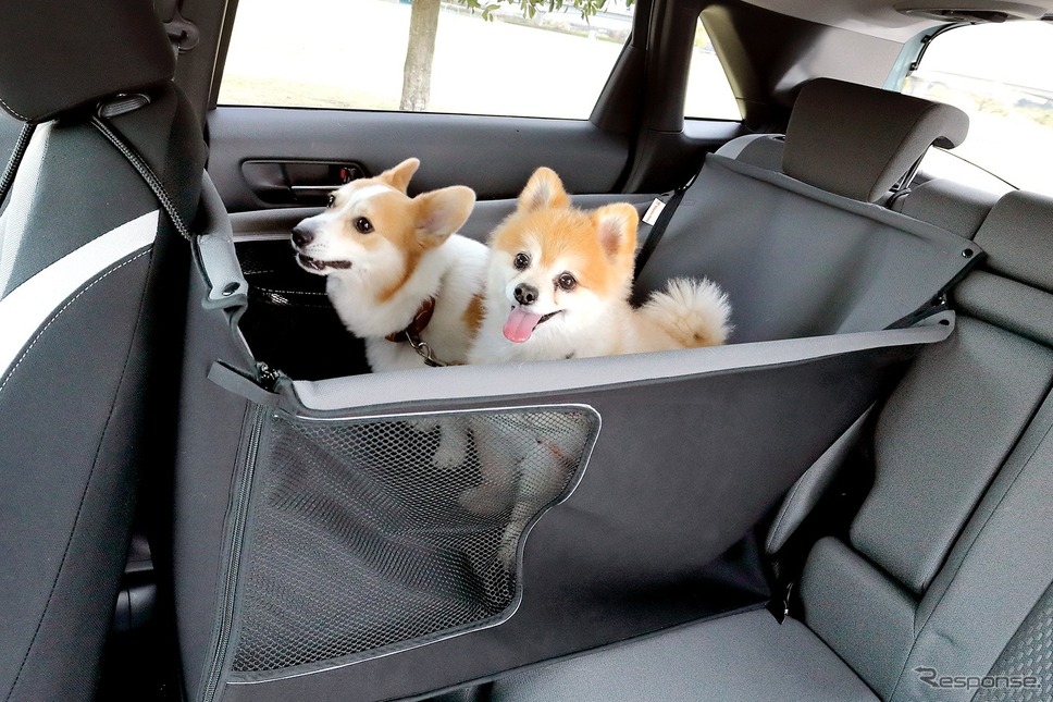 ボックス型シート(ドライブボックス)《写真提供 ホンダアクセス》
