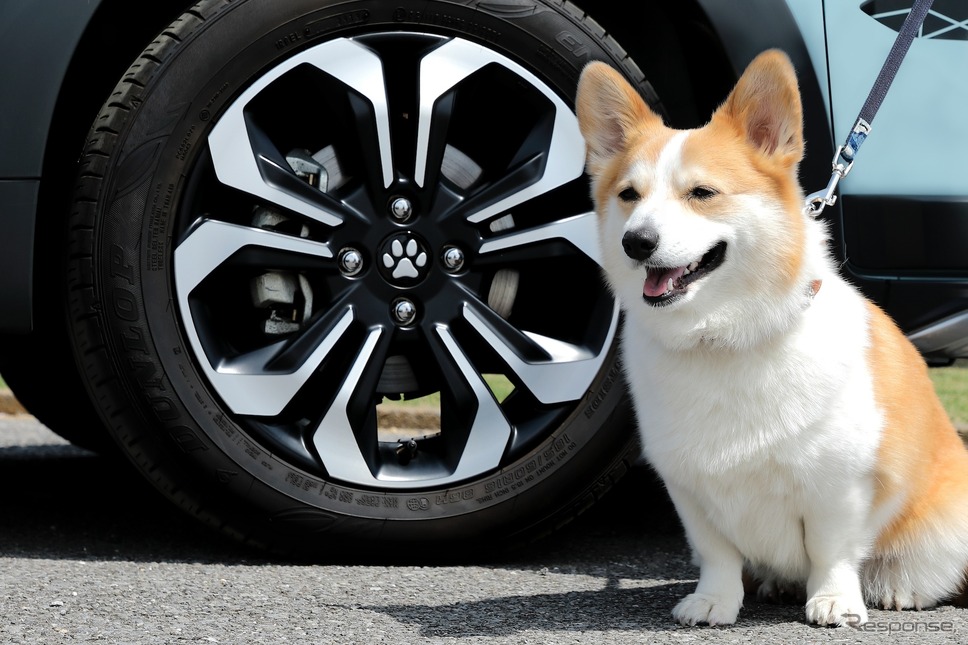 愛犬を連れてレジャーに《写真提供 ホンダアクセス》