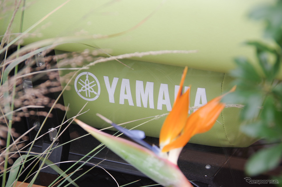 「Local Green Festival '24」に展示されたヤマハのグリーンスローモビリティ《写真撮影 宮崎壮人》