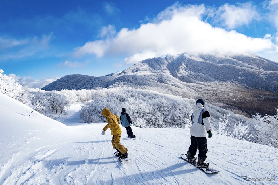 早朝の気持ち良いバーンから滑り始めるのがおすすめ《写真提供 キャンピングカー株式会社》