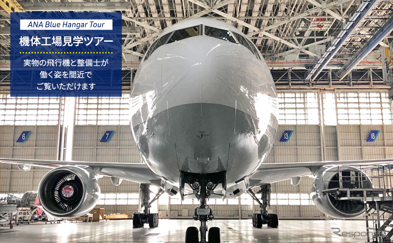 ANA Blue Hangar Tour(機体工場)《画像提供 はとバス》