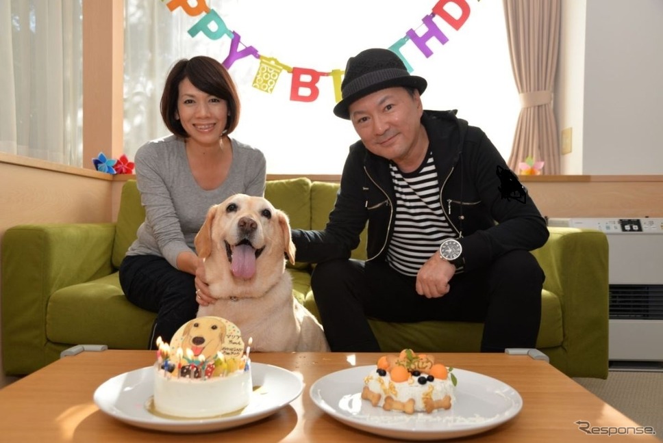 後で悔やんでも遅い! 愛犬とドライブ旅行を重ねる意味と理由《写真撮影 青山尚暉》