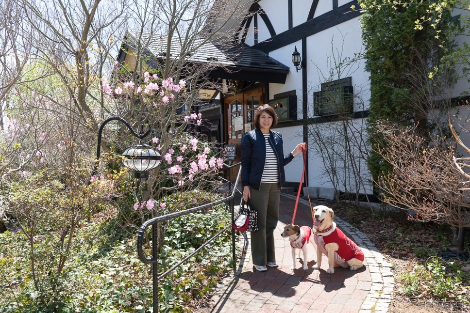 後で悔やんでも遅い! 愛犬とドライブ旅行を重ねる意味と理由《写真撮影 青山尚暉》