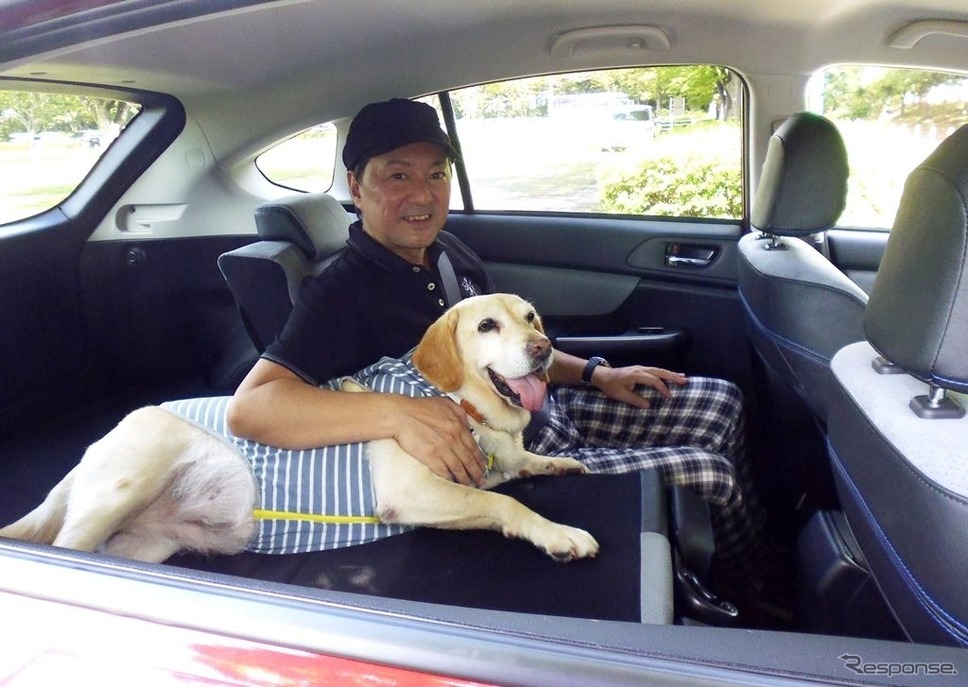 後で悔やんでも遅い! 愛犬とドライブ旅行を重ねる意味と理由《写真撮影 青山尚暉》