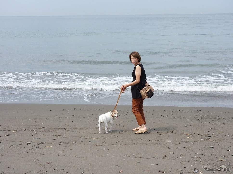 後で悔やんでも遅い! 愛犬とドライブ旅行を重ねる意味と理由《写真撮影 青山尚暉》