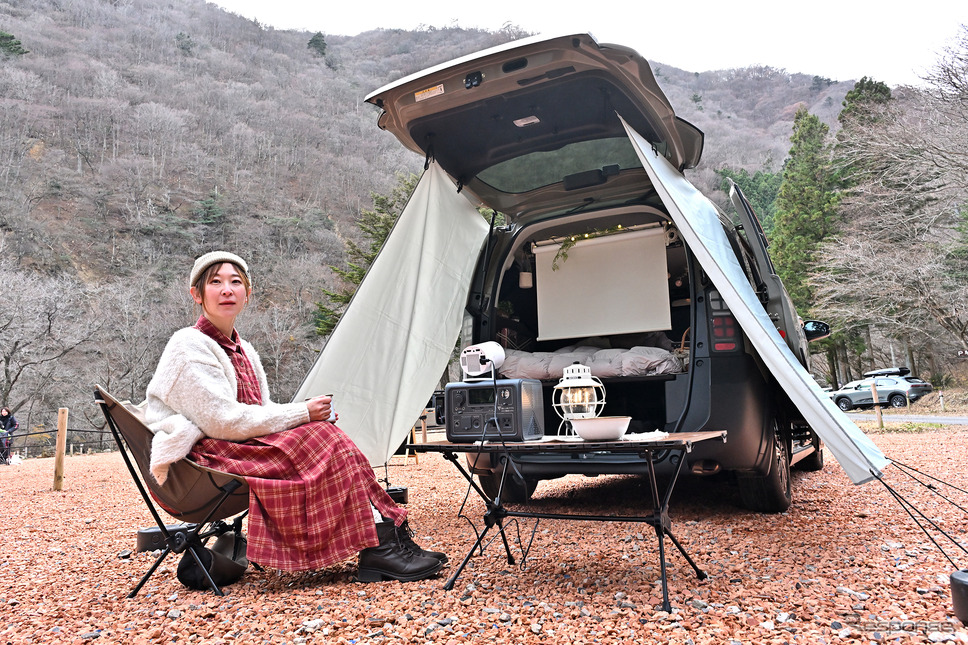 ホンダ N-VAN シアター仕様《写真撮影 雪岡直樹》