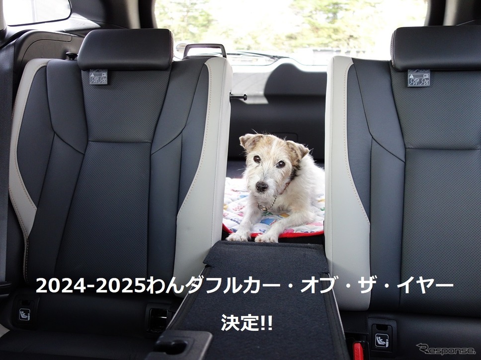 「わんダフルカー・オブ・ザ・イヤー」《写真撮影 青山尚輝》