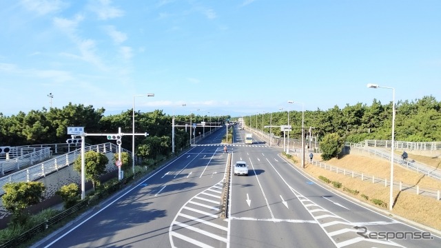 国道134号《写真提供 写真AC》
