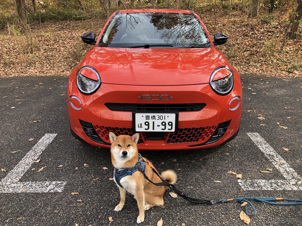 フィアット600e《写真撮影 島崎七生人》