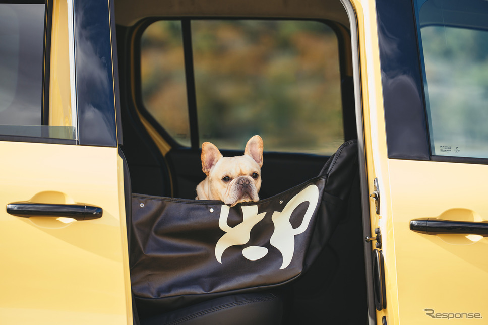 ルノー『カングー』専用の愛犬家向け新商品《写真提供 ルノー・ジャポン》