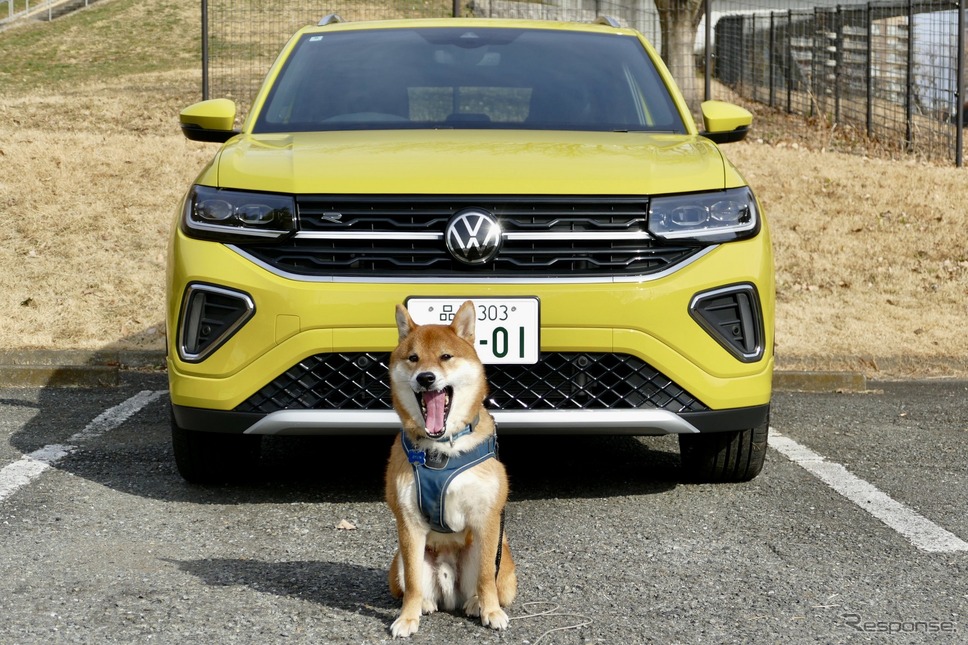 VW T-Cross TSI R-Line《写真撮影 島崎七生人》