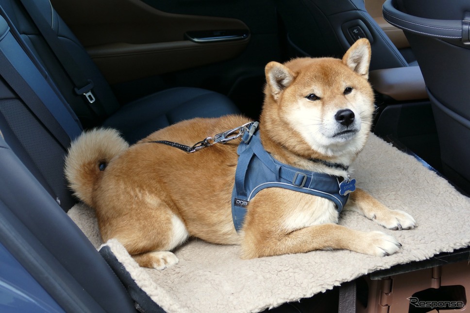 トヨタ クラウンクロスオーバー Z《写真撮影 島崎七生人》