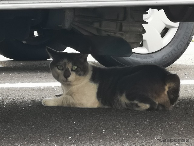 (イメージ)《写真提供 写真AC》