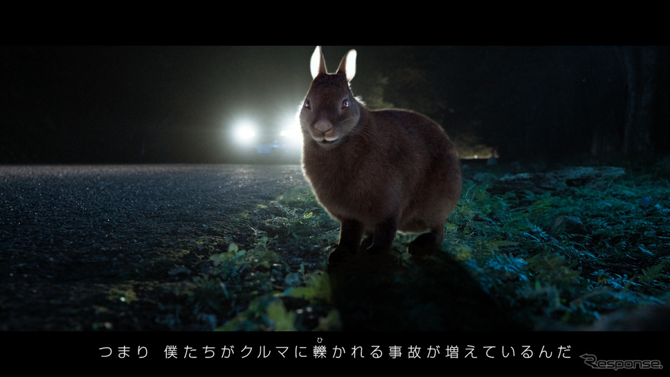 「NISSAN ANIMALERT(アニマラート)」 プロジェクトムービーより《画像提供 日産自動車》